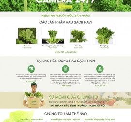 Mẫu Thực phẩm Rau Hoa Quả RHQ09