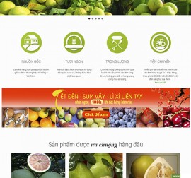 Mẫu Thực phẩm Rau Hoa Quả RHQ12