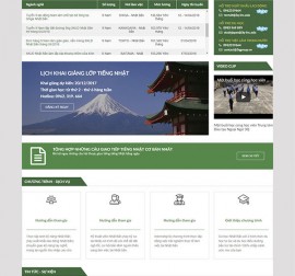 Mẫu website du học DH07