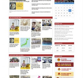 Mẫu website du học DH09