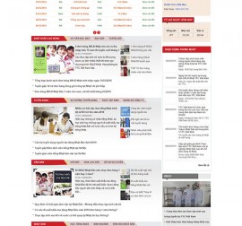 Mẫu website du học DH10