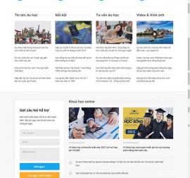 Mẫu website du học DH15