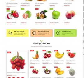 Mẫu website thực phẩm rau hoa quả RHQ14