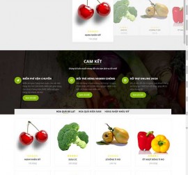 Mẫu website thực phẩm rau hoa quả RHQ16
