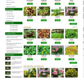 Mẫu website về hoa - cây 04