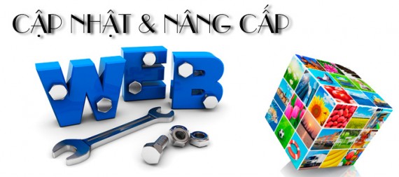 Dịch vụ nâng cấp website