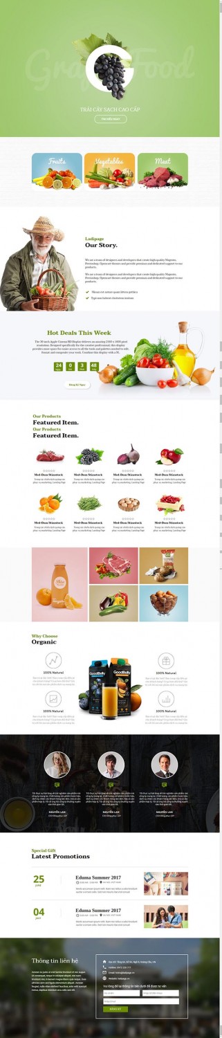 Thiết kế Mẫu website Landing Page 13